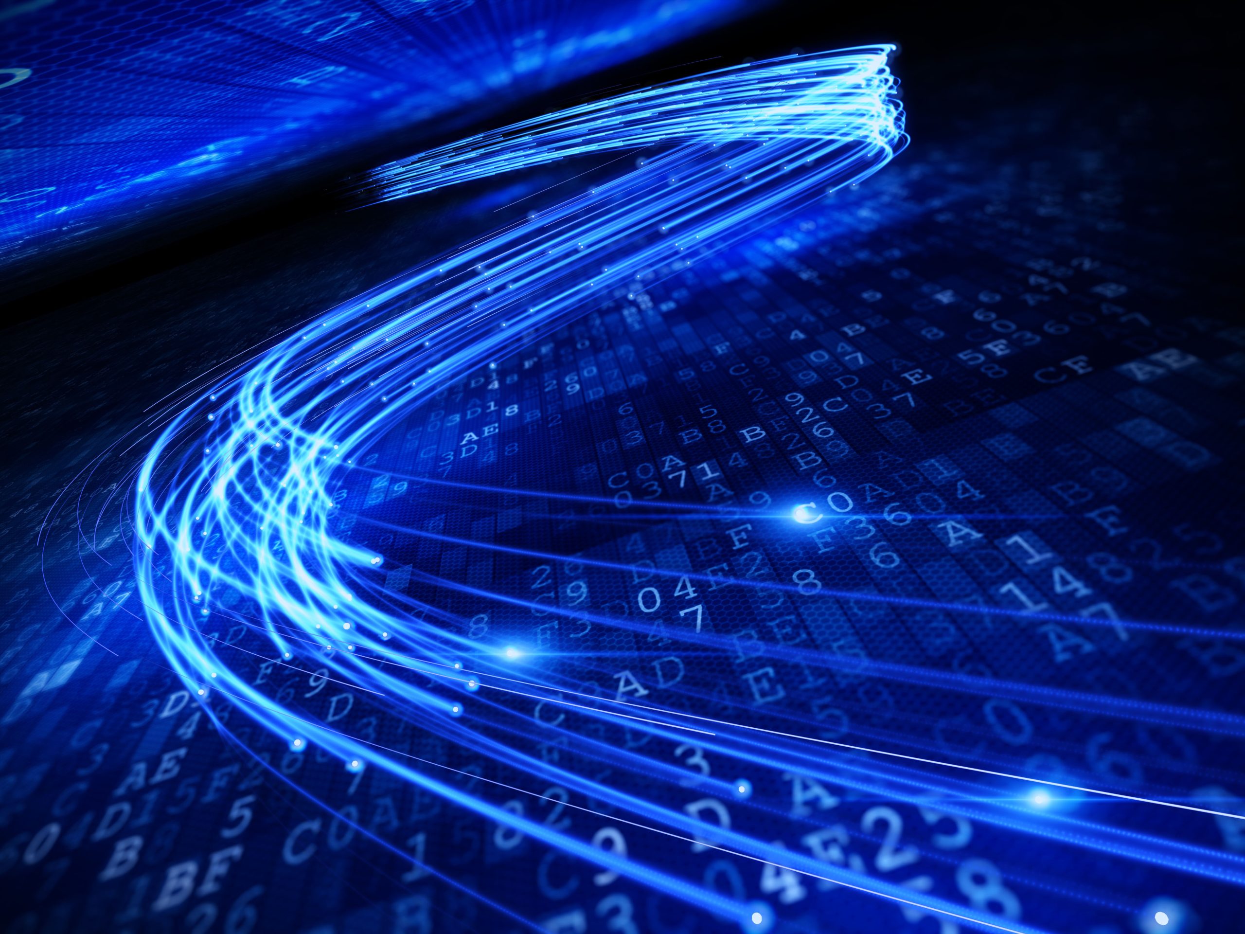 Fiber